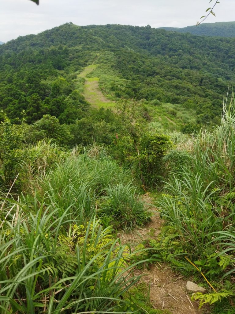 風擎步道-淡基橫斷古道-富士坪古道上大尖山_1742542