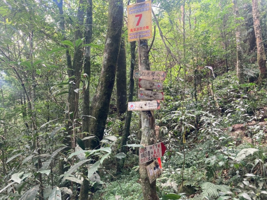 拔刀爾山_1778062