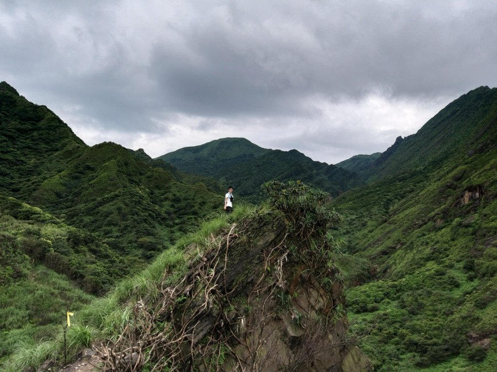 南雅美麗小錐麓封面圖