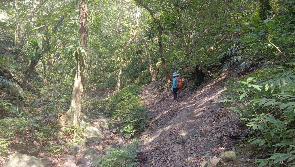 (姨婆趴趴走)第四十九集:攀登連走宜蘭梗枋山、橋板湖山_2747755