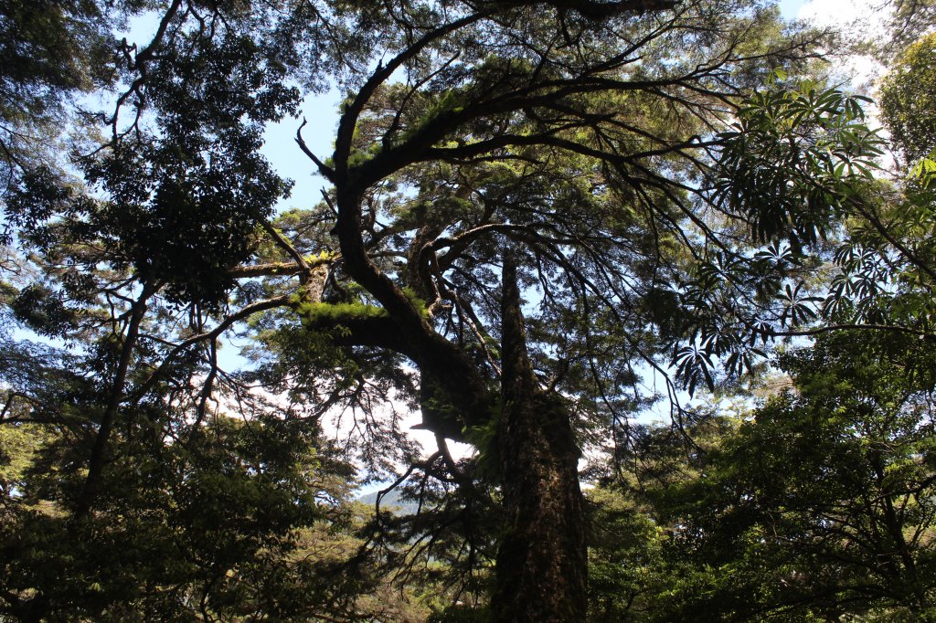 20220620高雄塔關山_1743069