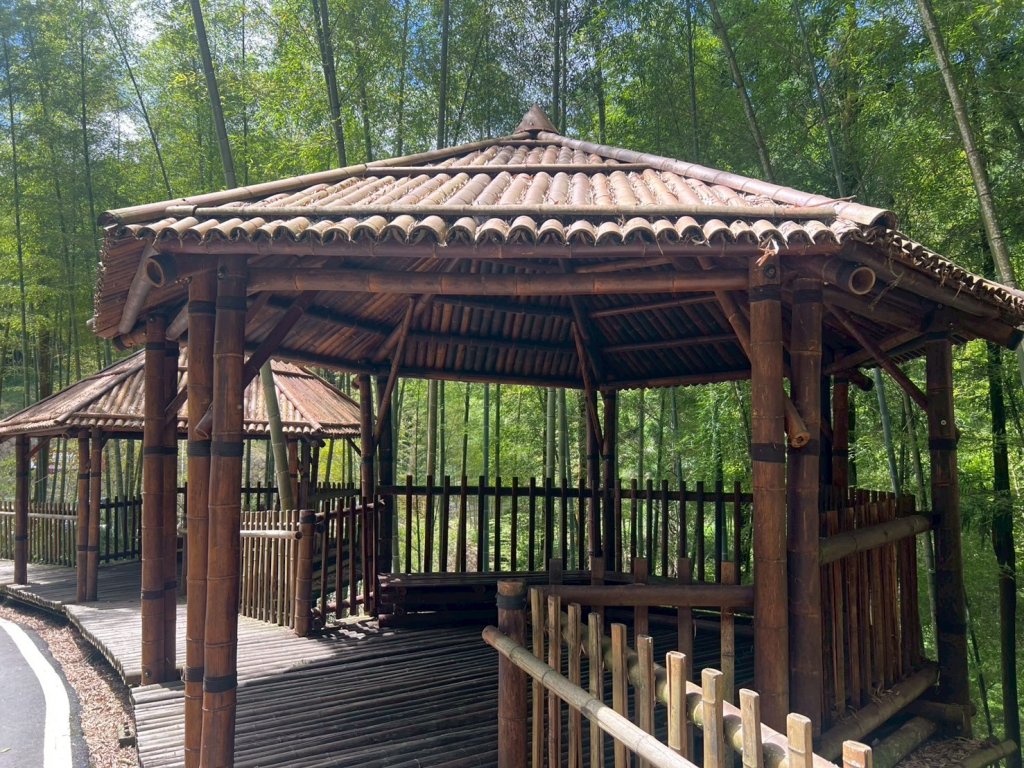 嵐山再古坑。五元兩角 木馬古道_2806130