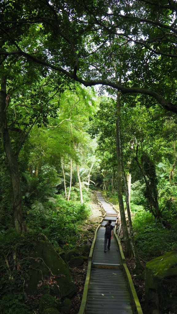 南投竹山瑞龍瀑布步道20190721_633635