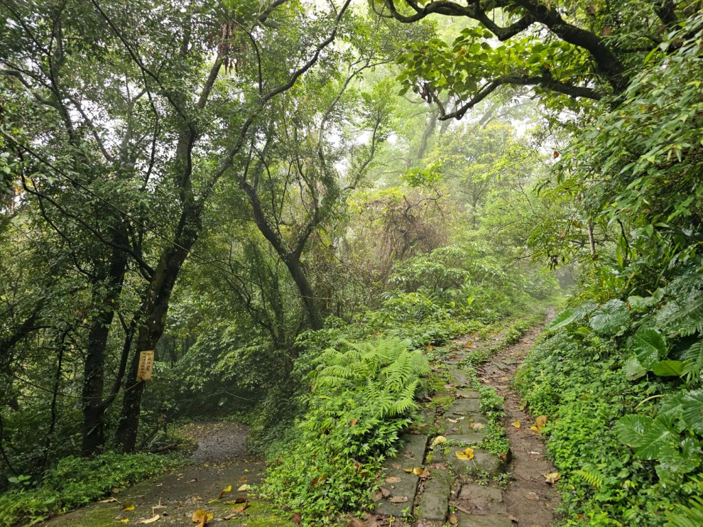 2026年臺北大縱走第六段：中華科技大學至捷運麟光站封面圖