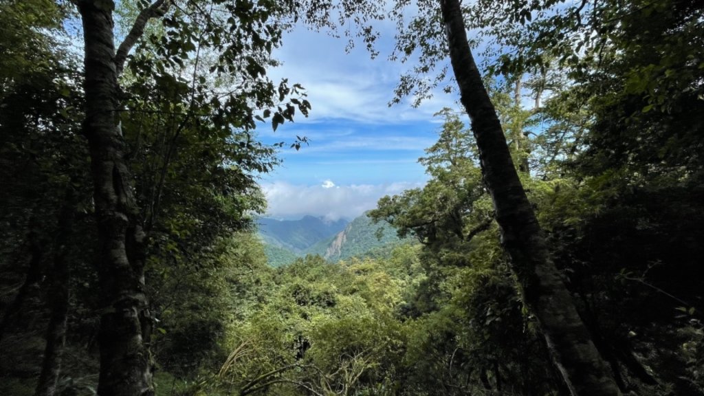 1100812船型山林道3k.稍來山_1441448