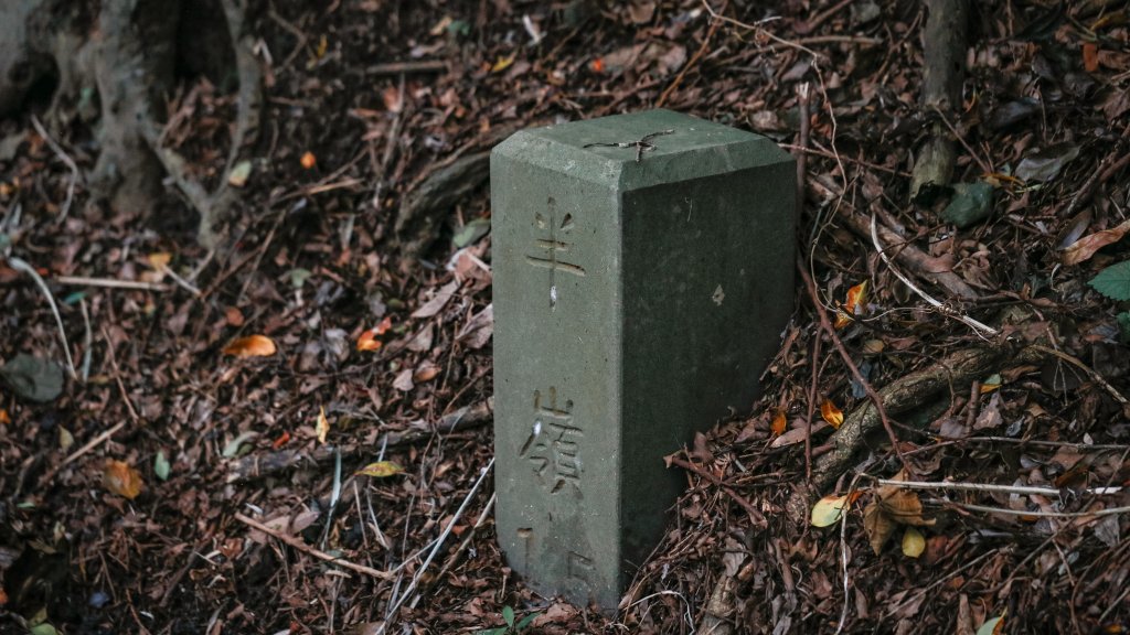 遇見淡水版花園鰻 - 半嶺水圳步道上游段 & 松溪瀑布_2651112