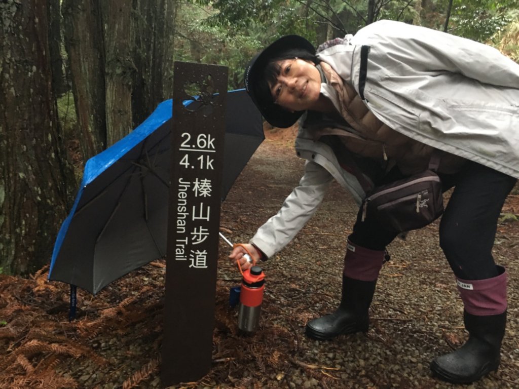 2022/03/07觀霧之美櫻王櫻后櫻妃亮麗登場_1635499