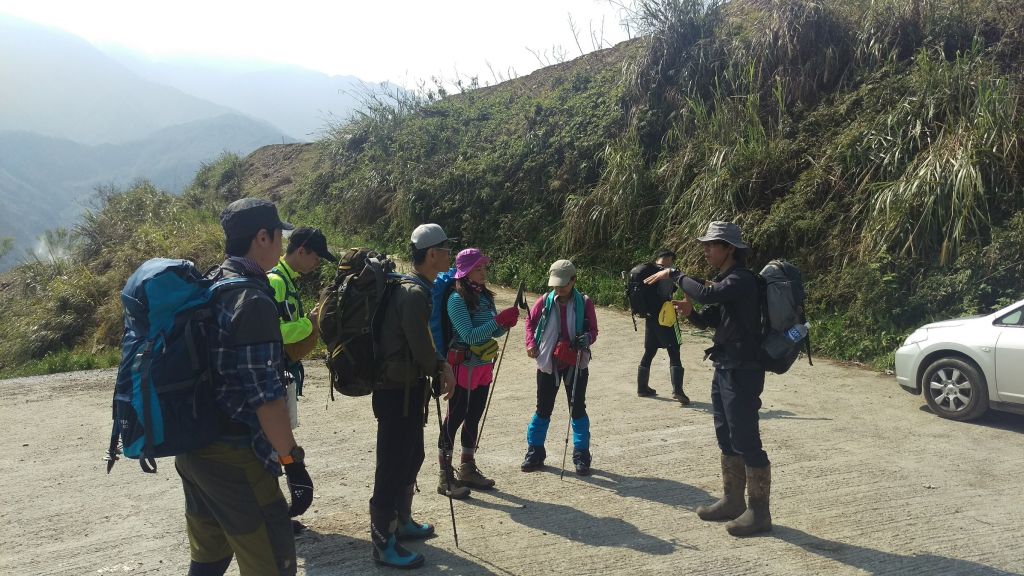 米羅山之木_292739