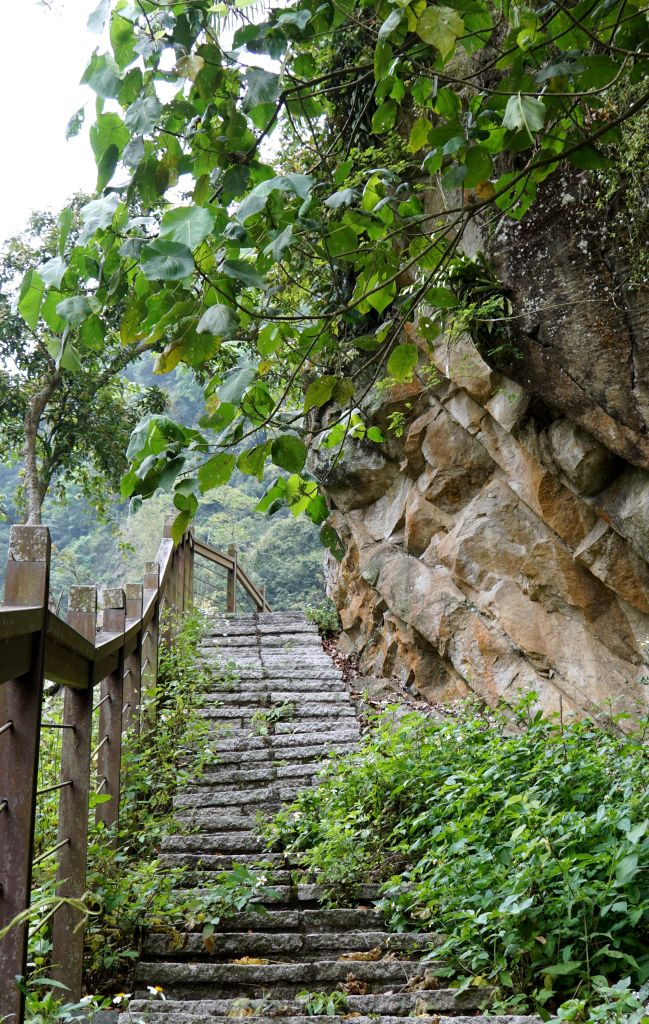 塘湖古道&甕缸潭步道小O輕鬆行_309930