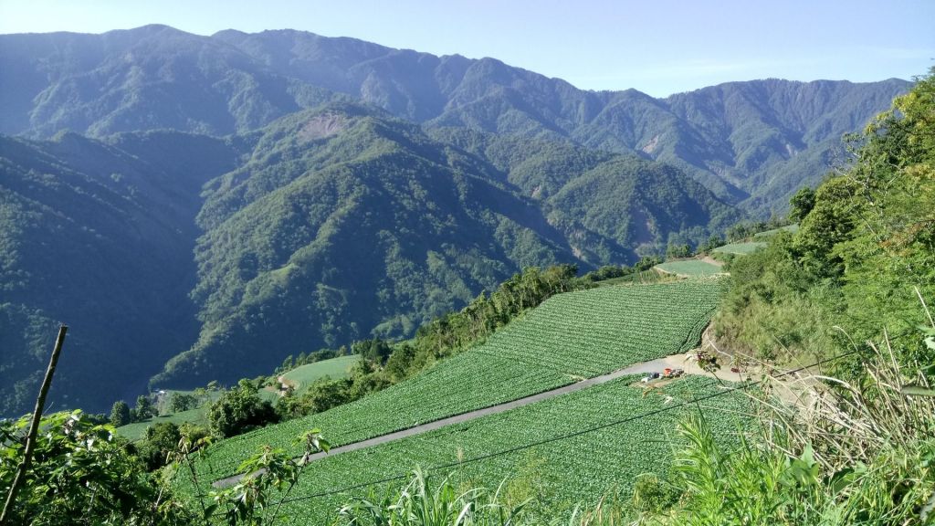 米羅山←→南山神木←→佐得寒山折返封面圖