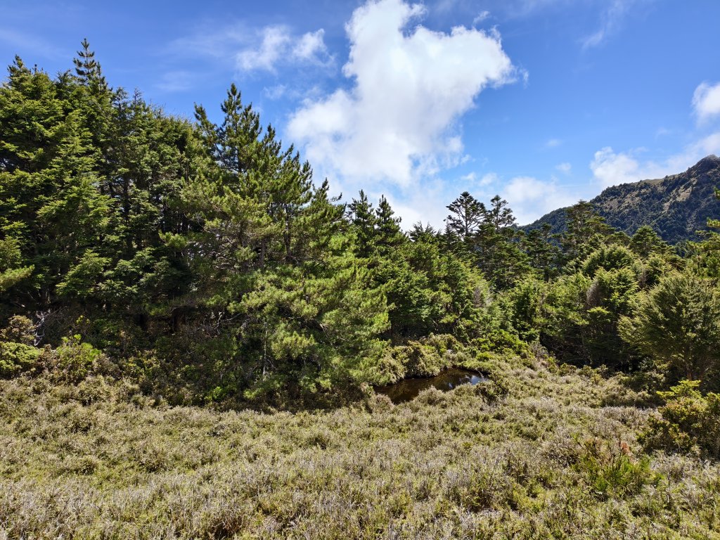 北一段(10/14)馬比杉山 2025_0906~13_2887120