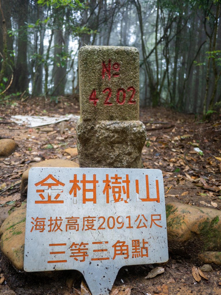 嶺頭山、金柑樹山、忘憂森林_1722780