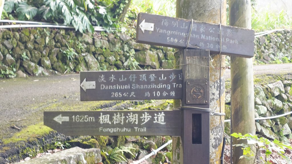 20260125 陽明山前後山健行(無極天元宮~山仔頂步道.向天池.向天山.面天山.二子坪)_2997934