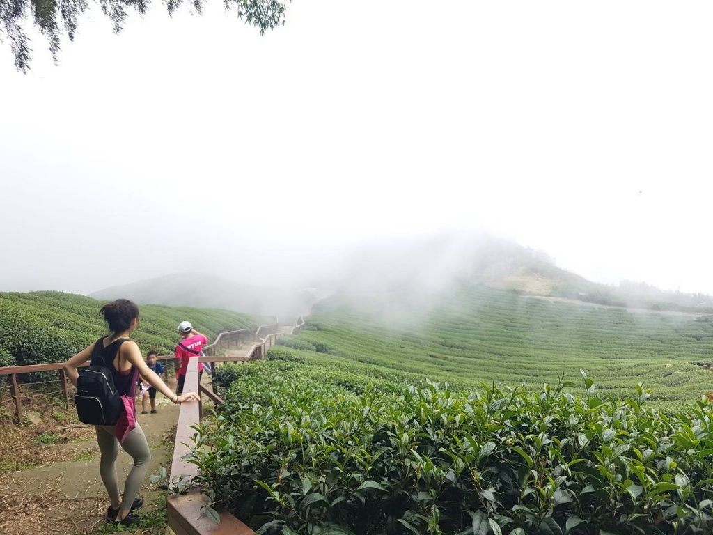 20191027跟著小弟底一口氣衝上大尖三角點_1369288