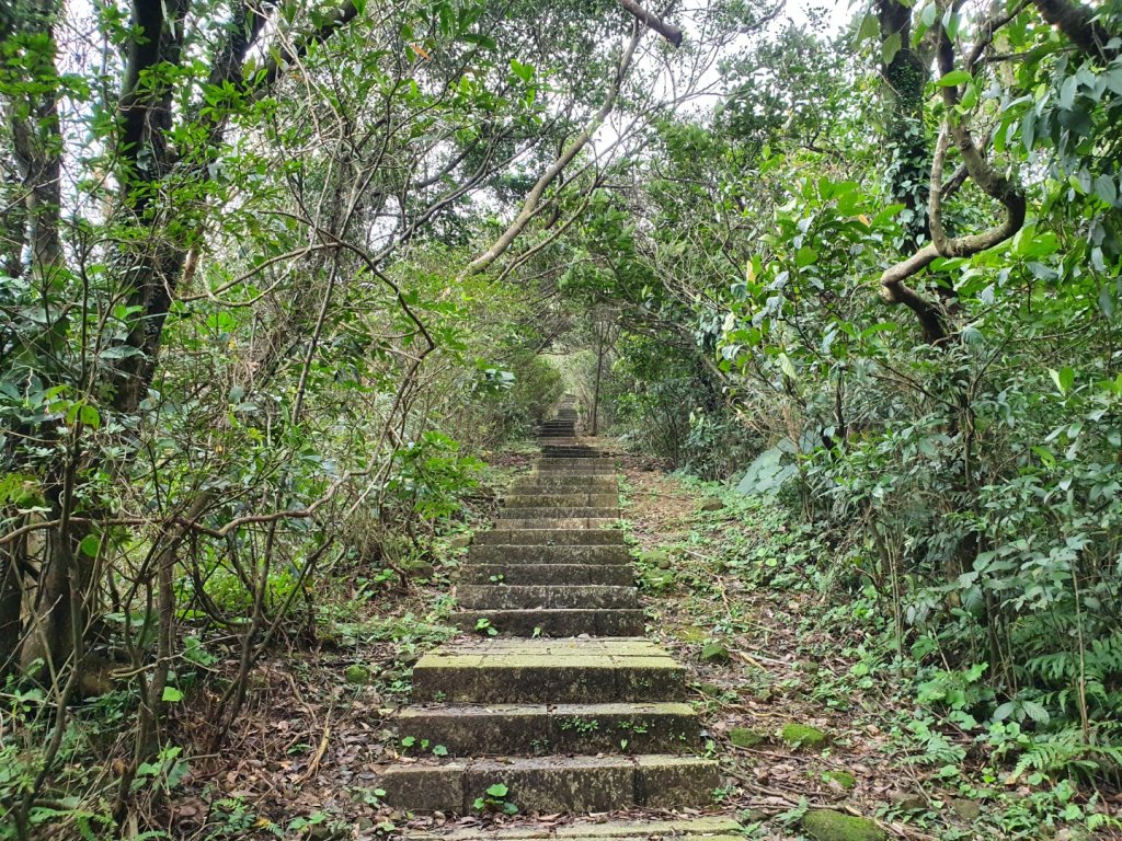 琉榔路步道封面圖