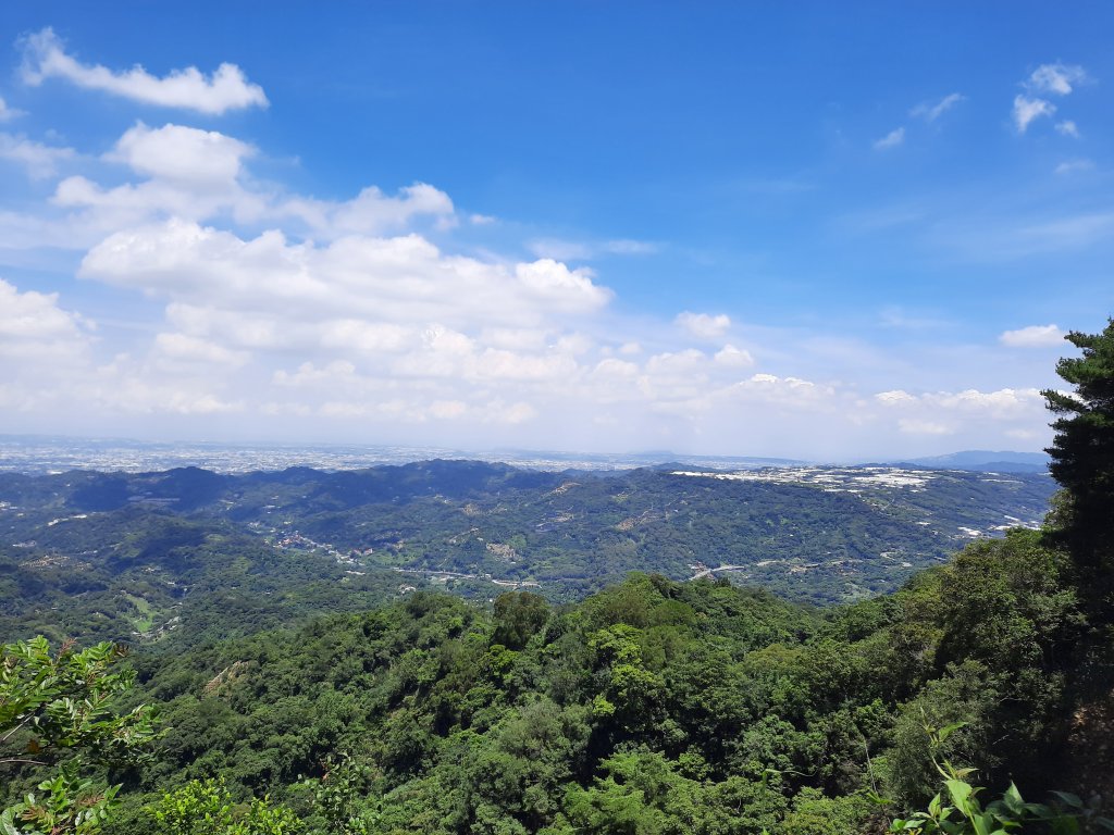 一日大坑_1030043