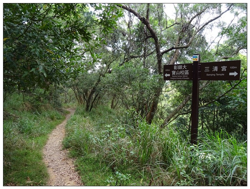 桃源里森林步道_904553