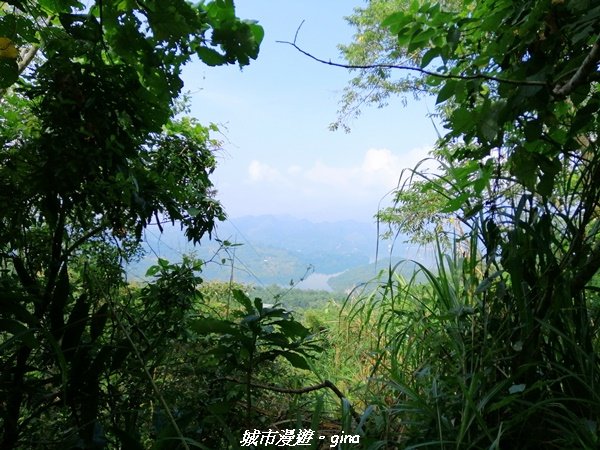 【嘉義。大埔】手腳並用之無止盡的攀爬~回憶一次就夠了。 小百岳集起來。編號65小百岳~三腳南山_1485423