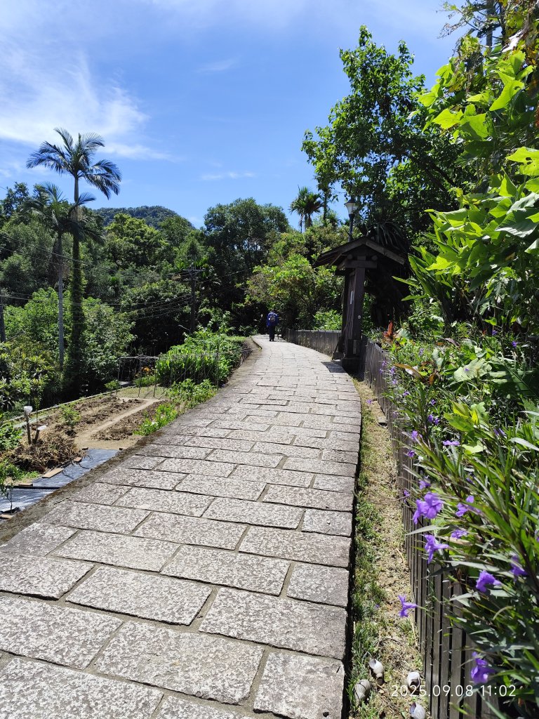 【臺北大縱走 7】2-1 樟山寺→樟樹步道→彩雲亭→相思炭窯→貓纜貓空站→指南路三段40巷_2881777