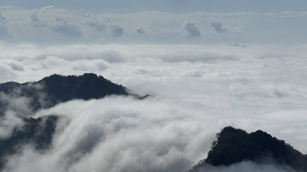 20260101小百岳馬那邦山賞楓團_2973935