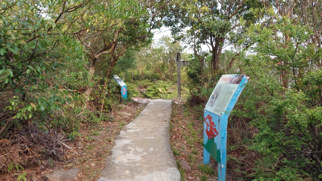 丹鳳山  ，北投真言宗石窟建築群（弘法大師岩），特殊地質景觀-隆升巖床虎穴，中和禪寺_2114247