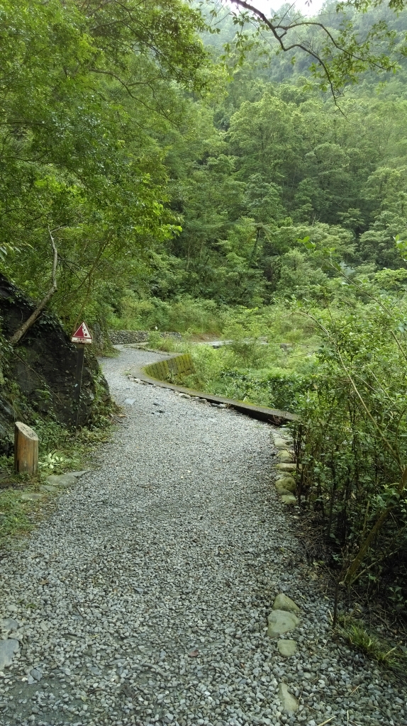 宜蘭冬山鄉-新寮瀑布歩道105.7.11_55824