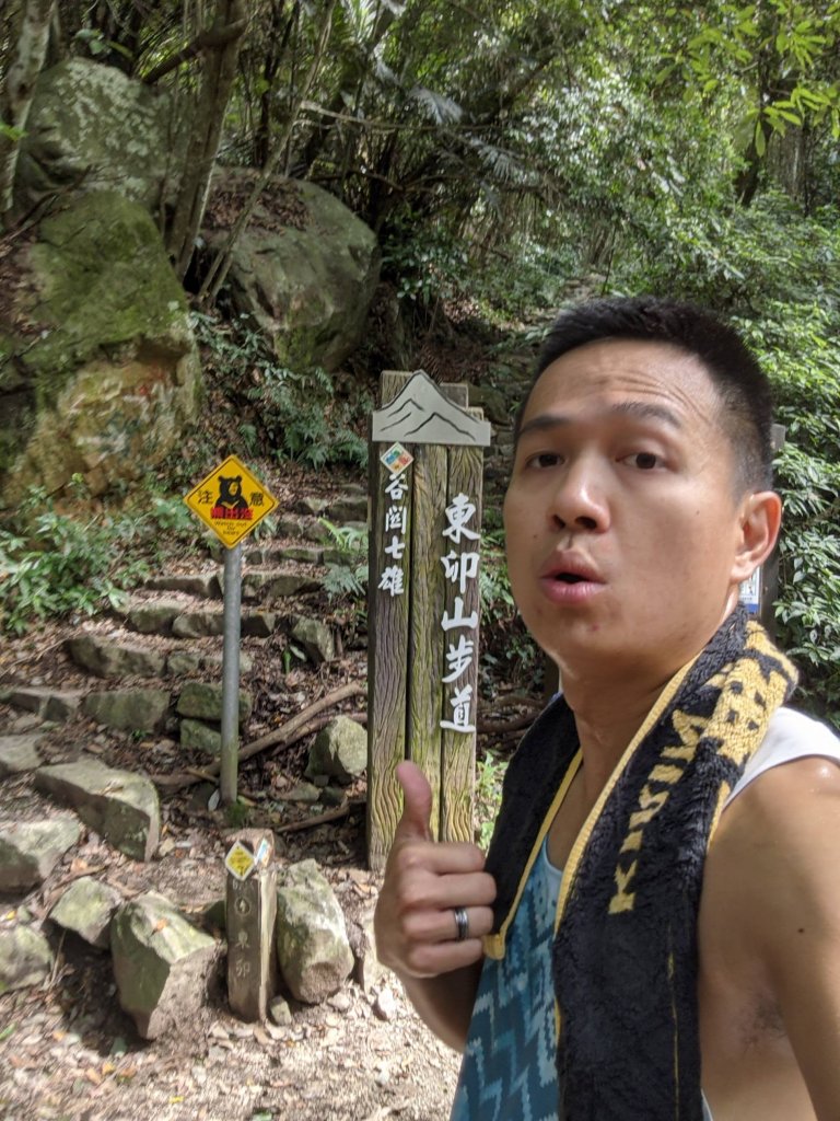 走進森林蓊鬱天地－德芙蘭_東卯山步道封面圖