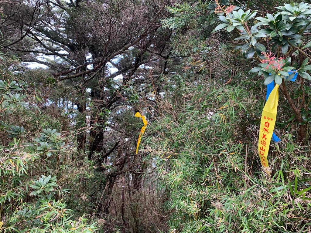 南投縣信義鄉西巒大山（百岳）_1535486