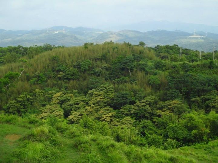 草嶺古道封面圖