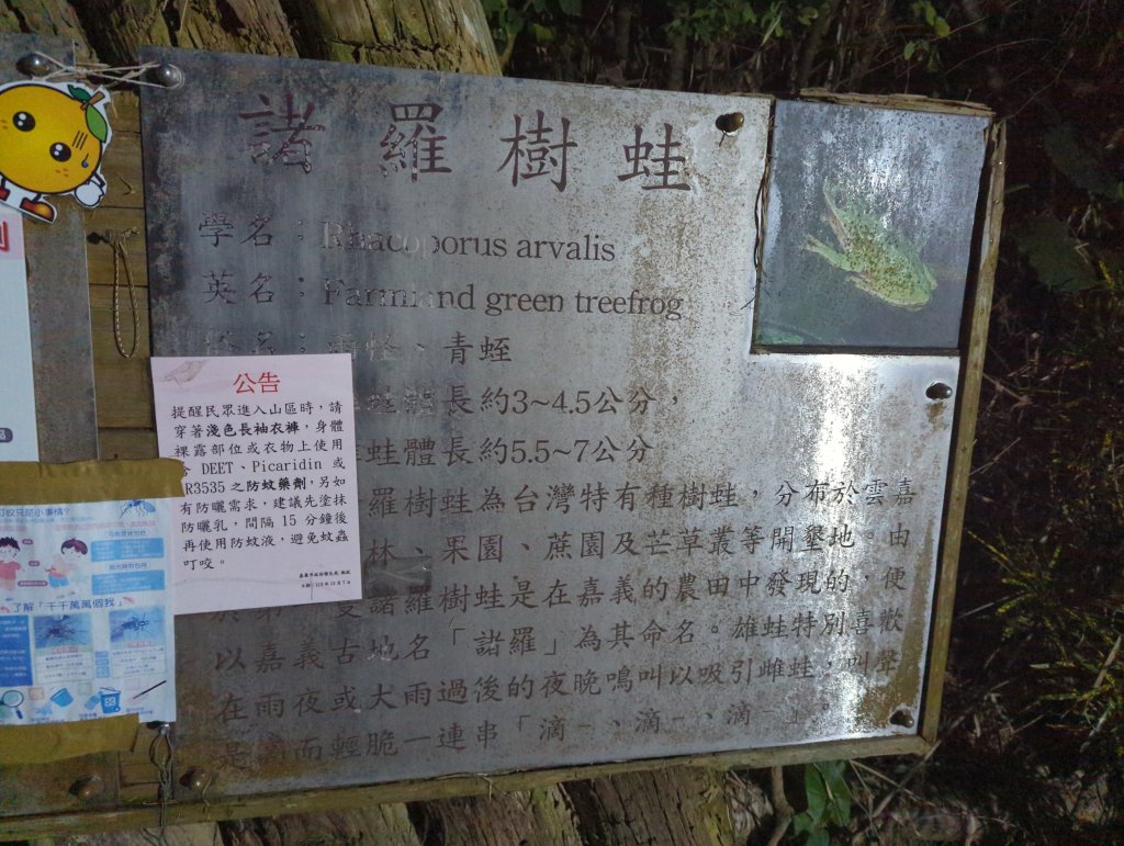 2025.03.03－嘉義後山夜間漫遊_2728107