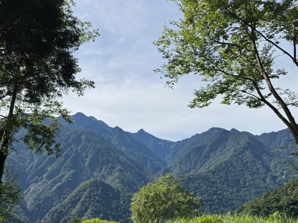 新中橫看玉山 首訪鹿林神木_2836965