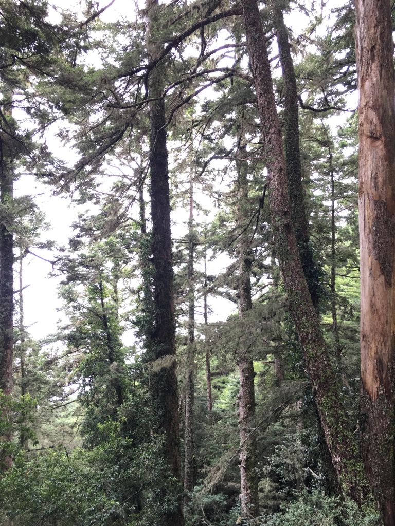 羊頭山一日單攻_175279