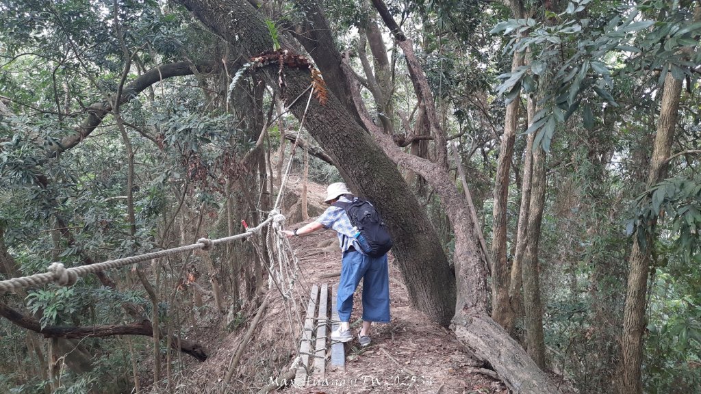 《南投》古道巡禮｜八通關古道社寮線蜈蚣崙段20251115_2937071