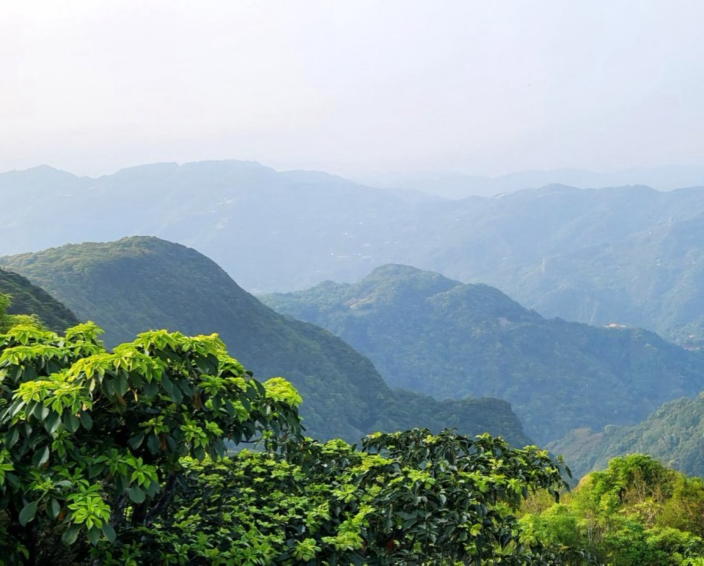 【中級山縱走】志繼山，東眼山，拉卡山，卡外山，東滿步道_2742548