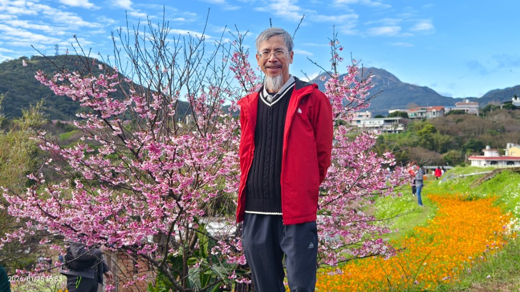 #平菁街 #鵝尾山梯田 #廣佑聖王廟 #寒櫻巷 #夕陽 1/24&25_2987669