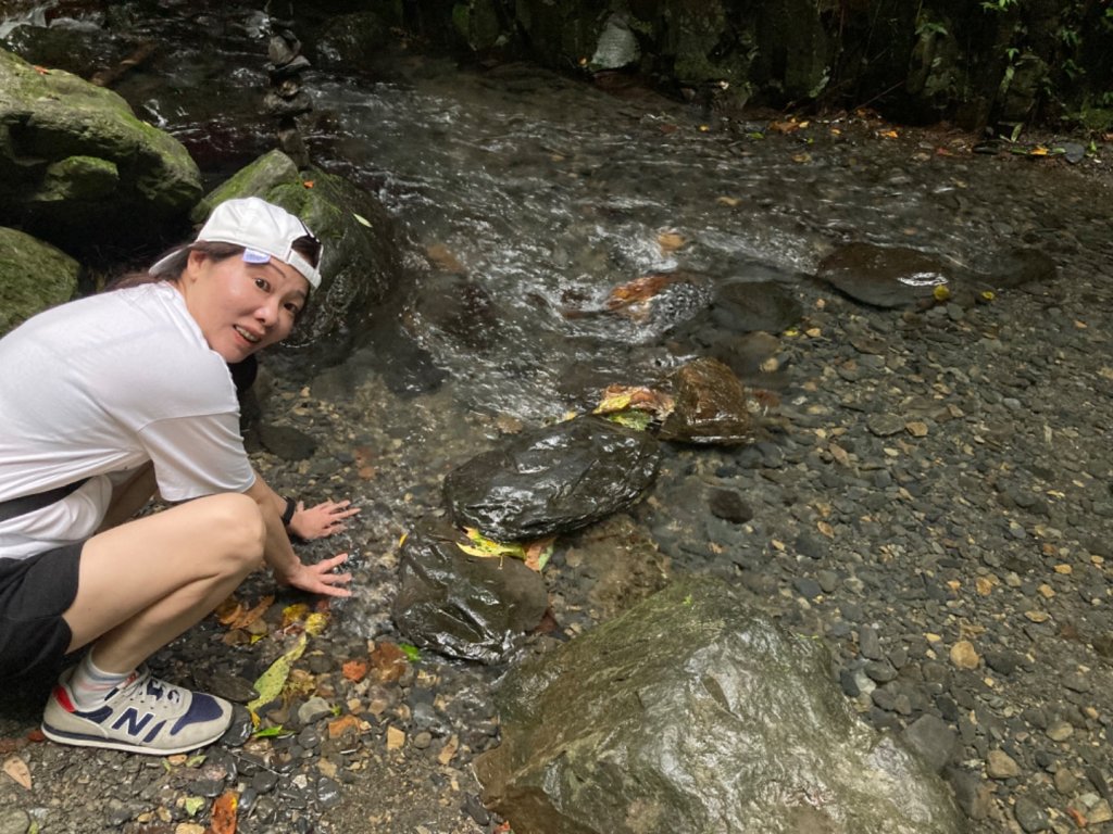 林美石磐步道_2297947