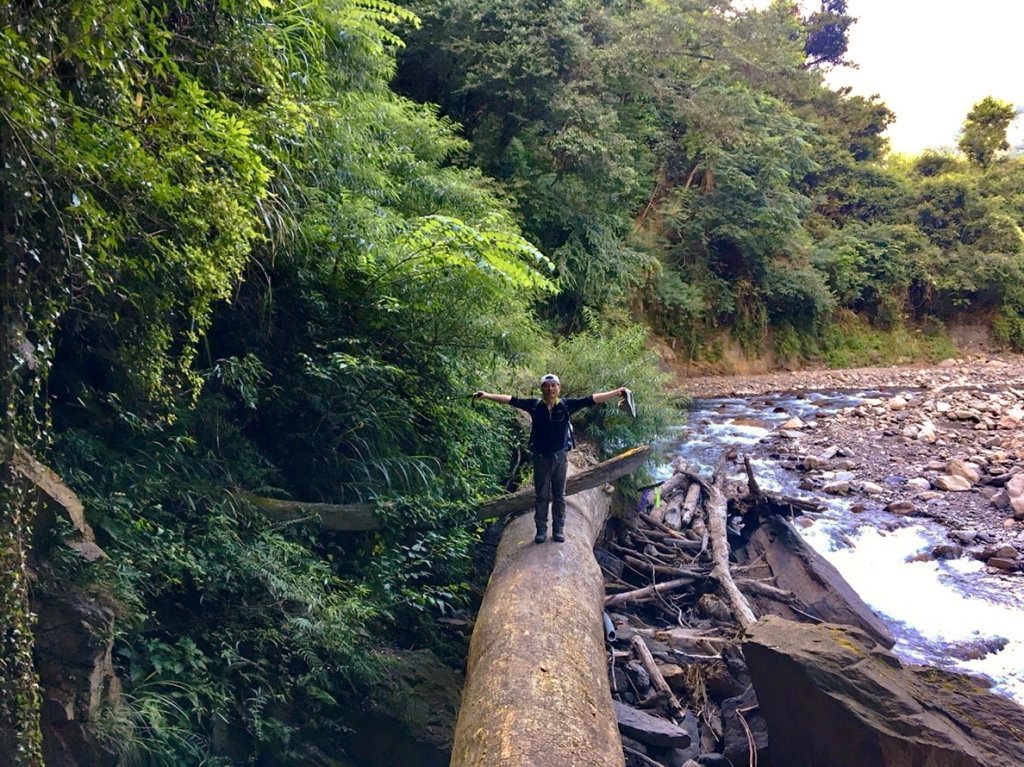 湍湍溪流志佳陽大山_656527