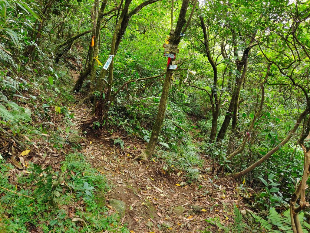 陽明山系-七股山_1465073