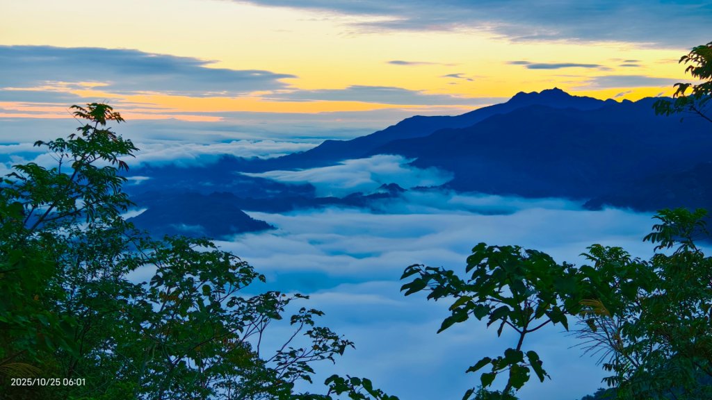 #馬那邦山 #琉璃光 #日出 #雲海 #山羌 #楓葉 10/25 & 11/1_2924635