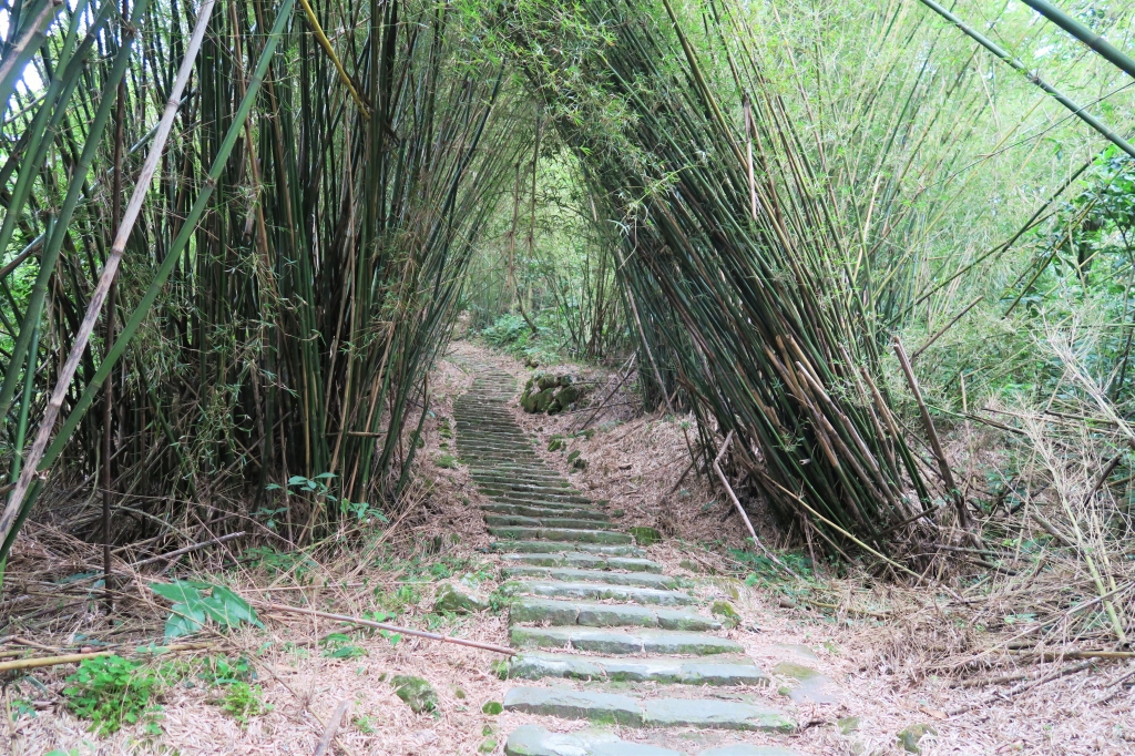 2016.4.5坪頂古圳－中社路健走_46550