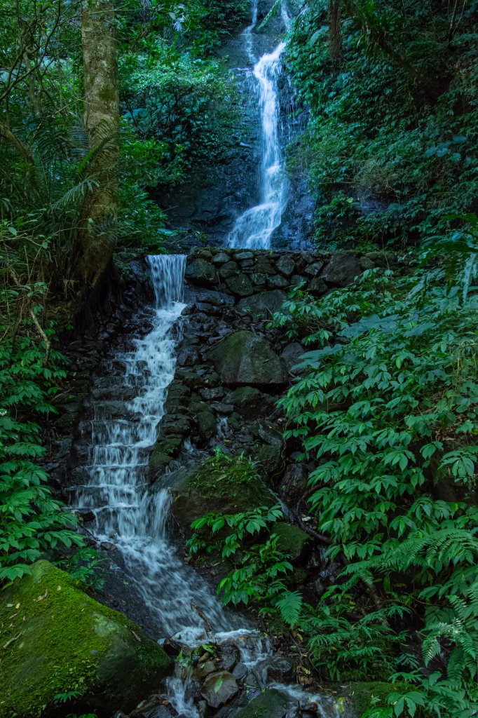 馬武督探索森林_2930695