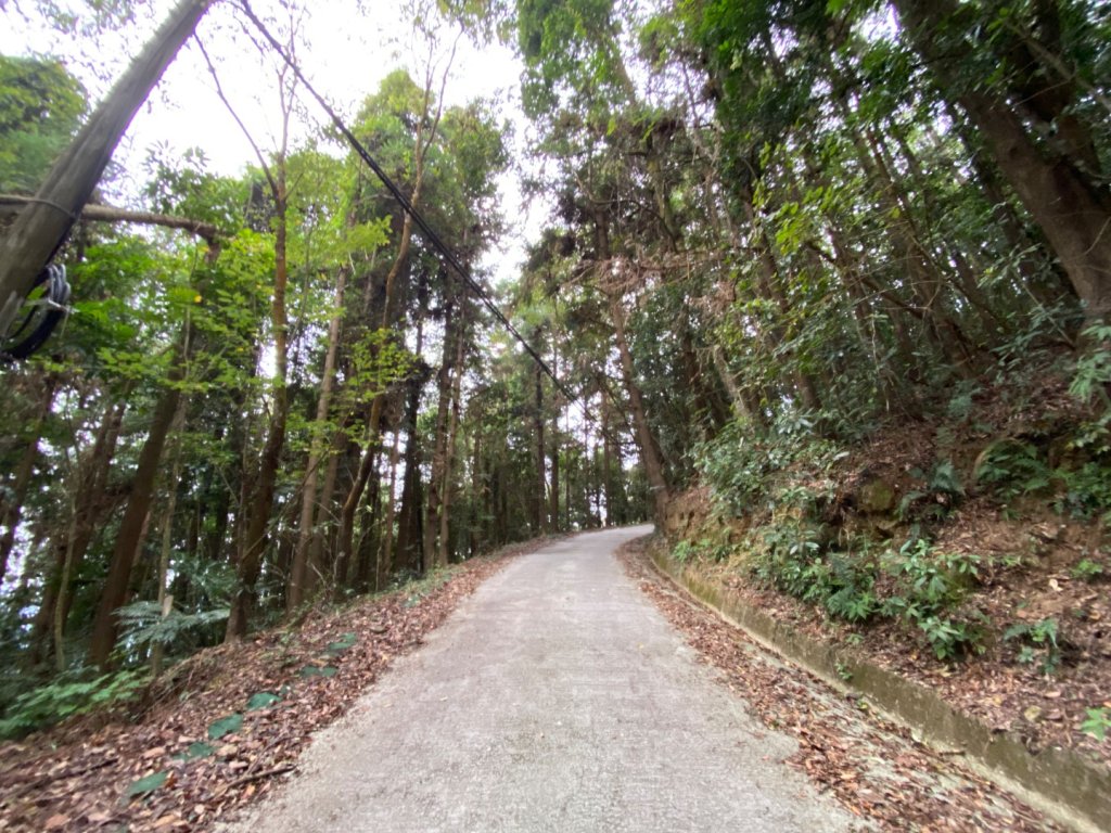 037苗栗泰安-馬那邦山_2604652