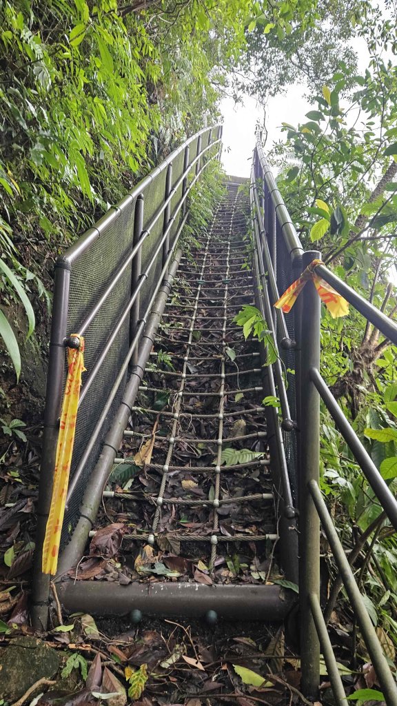 20251115冷水大山-頂中股山_2936645