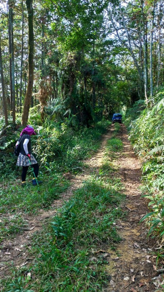 日月潭【大尖山】2020/09/20_1106417