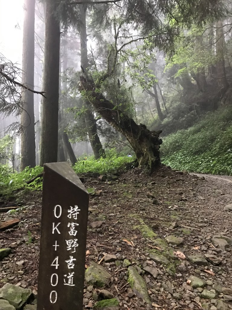 109年6月26日特富野古道_1027267