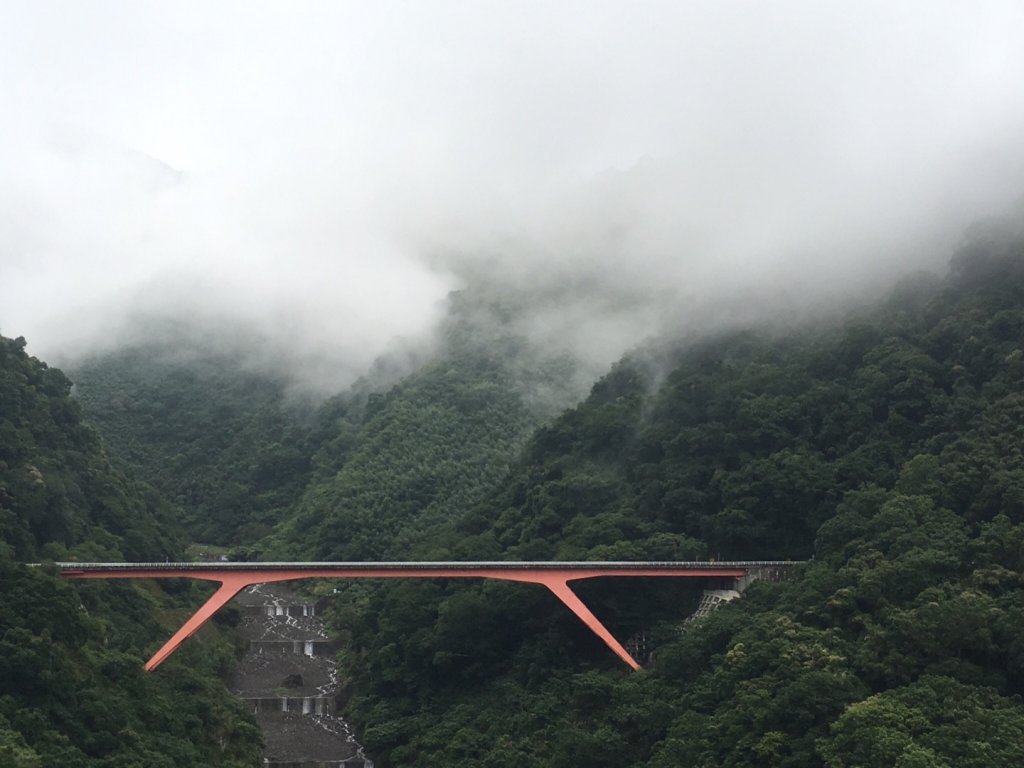 拉拉山巨木～～雨後雲海_616713