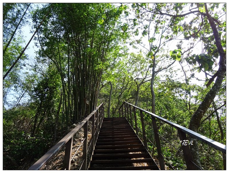 草屯/九九峰森林步道_939938