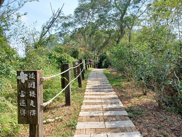 【苗栗造橋】適合親子悠閒踏青。劍潭古道_2533462