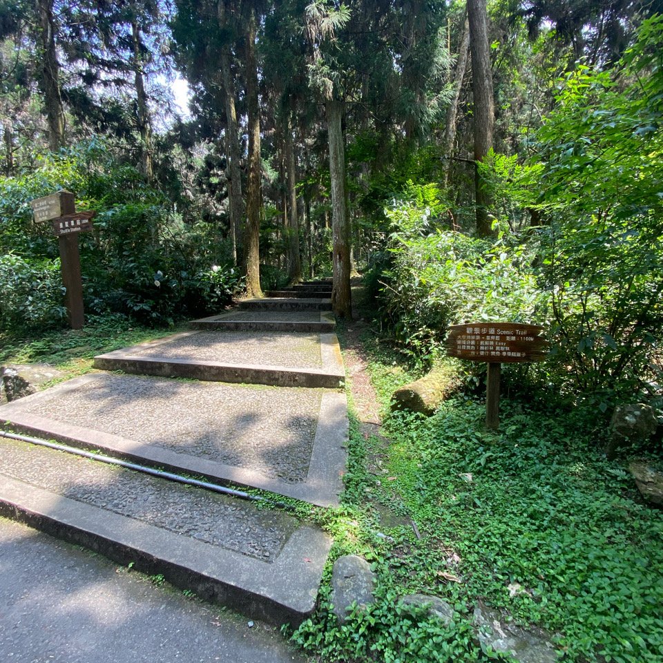 20240420 溪頭自然教育園區_2484353