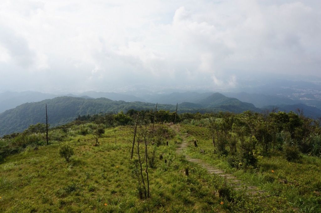 汐止姜子寮山_395915